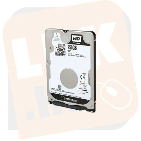 2,5" HDD 250 GB Sata 3